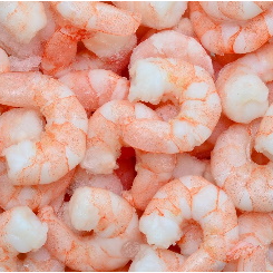 Seafrost Peeled & Cooked Prawn Meat 90/120 1kg
