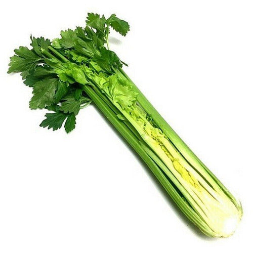 Celery Half Cut