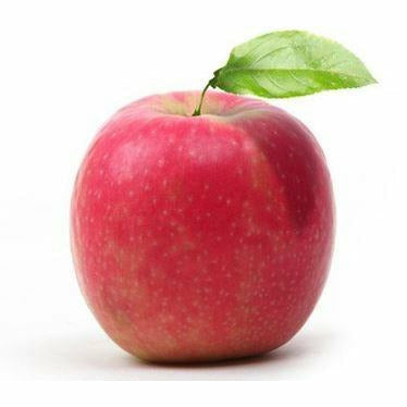 Apple Pink Lady by each