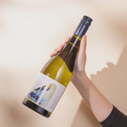 Twin Valleys Pinot Gris 2024 750ML